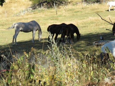 Tour du Riou de Buissard, IMG_0446