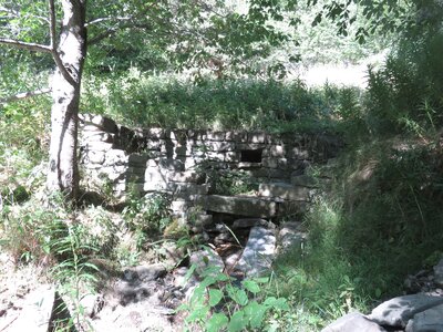 Tour du Riou de Buissard, IMG_0477
