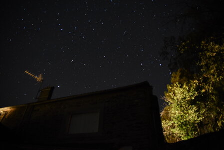 Murjas, DSC_1977 - Copie