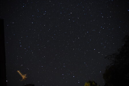 Murjas, DSC_1980 - Copie