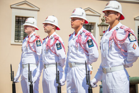 Carabiniers Relève du 23 aout 2023, relève23aout23  116 sur 155 