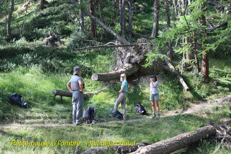 Lac des Cordes, Lac des Cordes 010