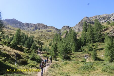 Lac des Cordes, Lac des Cordes 015