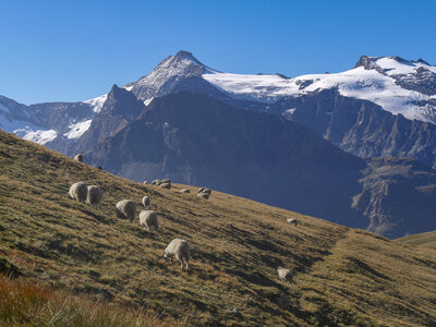 Maurienne 2023, sans titre-1092739