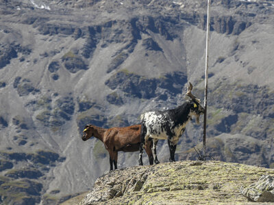 Maurienne 2023, sans titre-1092763