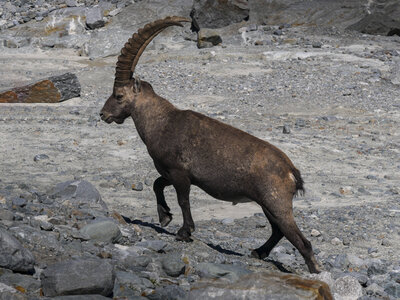 Maurienne 2023, sans titre-