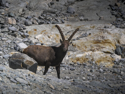 Maurienne 2023, sans titre-1092800