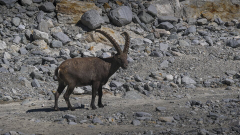 Maurienne 2023, sans titre-1092823