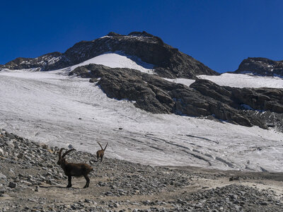 Maurienne 2023, sans titre-1092825