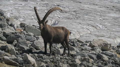 Maurienne 2023, sans titre-1092830