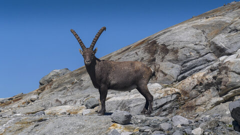 Maurienne 2023, sans titre-1092836