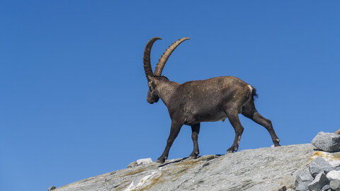 Maurienne 2023, sans titre-1092838