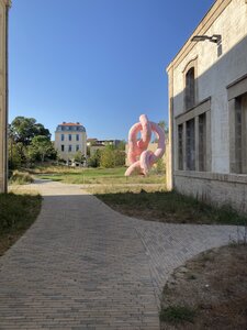 ARLES FERIA DU RIZ AVEC VAGUES DE SOLEILS, IMG_2125