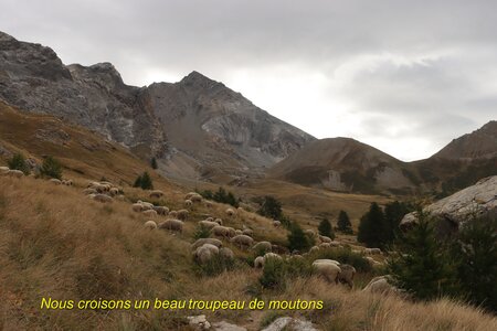 Lac des Neuf Couleurs, Lac des Neuf Couleurs 013