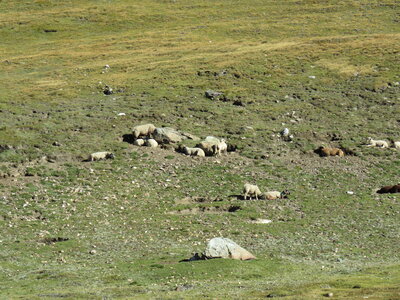 Bessans 2, IMG_0533
