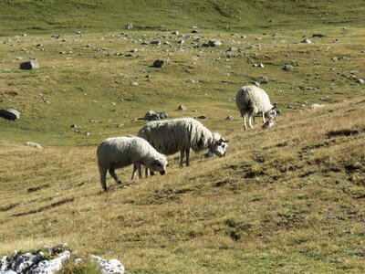 Bessans 2, IMG_0552