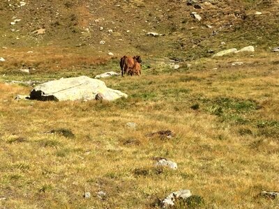 Bessans 3, IMG_0051