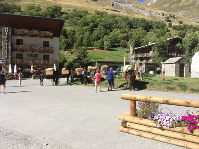 Bessans 3, IMG_0083