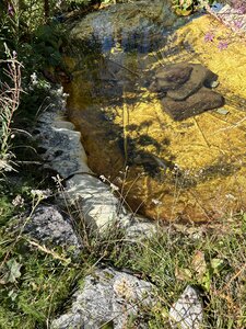 Bessans 4, IMG_3117