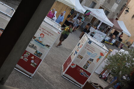 Convivencia 2023, DSC_0406