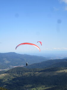 Vosges du Sud 2024, IMG_8390