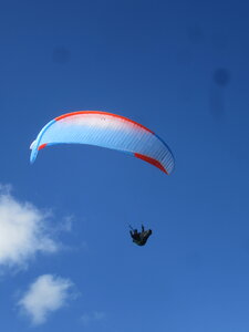 Vosges du Sud 2024, IMG_8389