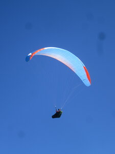 Vosges du Sud 2024, IMG_8380
