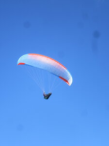Vosges du Sud 2024, IMG_8379