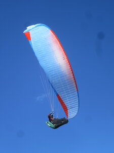 Vosges du Sud 2024, IMG_8398