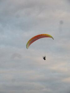 Vosges du Sud 2024, IMG_8358