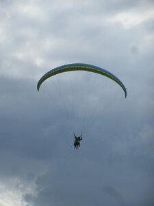 Vosges du Sud 2024, IMG_8298