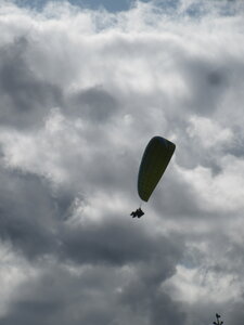 Vosges du Sud 2024, IMG_8296