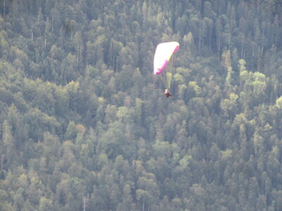 Vosges du Sud 2024, IMG_8287