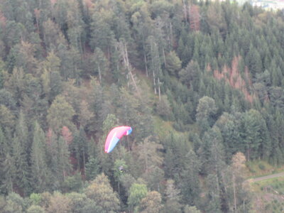 Vosges du Sud 2024, IMG_8272