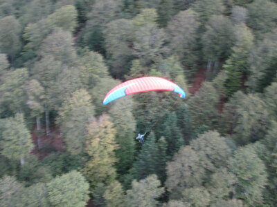 Vosges du Sud 2024, IMG_8265