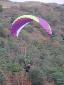Vosges du Sud 2024, IMG_8367