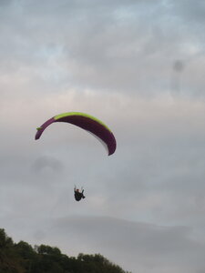 Vosges du Sud 2024, IMG_8363