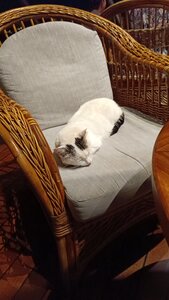 Mauricius, IMG-20230927-WA0008