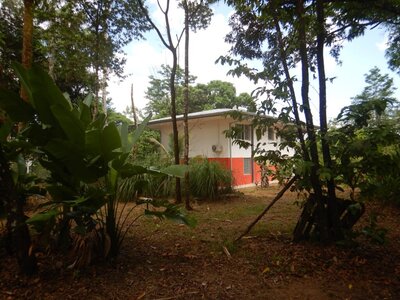 Villa aéroport Cayenne, Villa F5  5   Personnalisé 