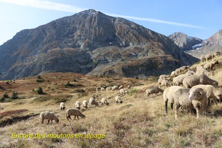 Les Lacs du Plateau du Taillefer, Les Lacs du Taillefer 013