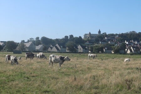 2023_09_04 De Cherbourg à Urville-Nacqueville, IMG_5123_Le village de Querqueville depuis le GR
