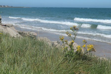 2023_09_04 De Cherbourg à Urville-Nacqueville, IMG_5126_La plage de Querqueville