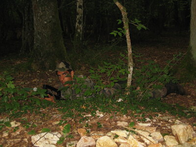 B5 61RA Aout 2004, combat 045