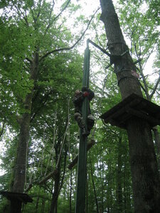 B5 61RA Juillet 2006, aventure parc 0038
