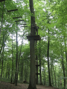 B5 61RA Juillet 2006, aventure parc 0032
