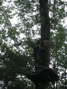 B5 61RA Juillet 2006, aventure parc 0013