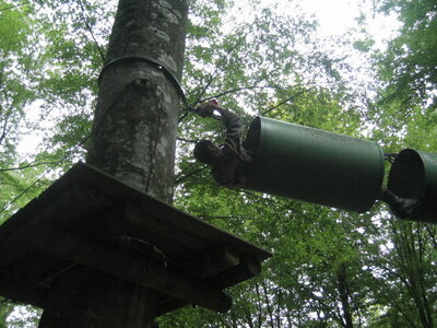 B5 61RA Juillet 2006, aventure parc 0012