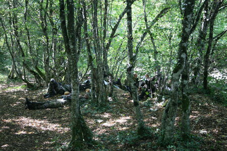 B5 61RA Juillet 2006, IMG_0835