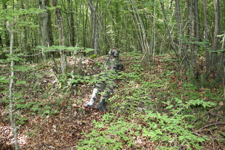B5 61RA Juillet 2006, IMG_0734