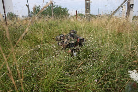B5 61RA Juillet 2006, IMG_0329